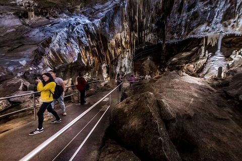Discover The World Heritage Treasures Of The Blue Mountains Tour - Accommodation Bookings 1