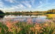 Private Full-Day Wine Tour In Hunter Valley - thumb 5