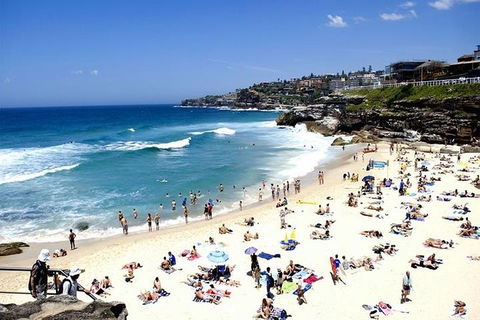 Sydney Bondi Beach And Watsons Bay Half-Day Tour - Accommodation Bookings 1