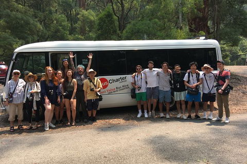 Private 13 Seat Mini Bus CBD To Sydney Airport Transfer - Accommodation Bookings 4