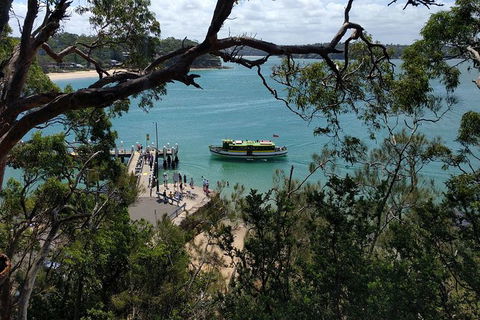 Small-Group Bike And Hike Adventure In Bundeena - Accommodation Bookings 3