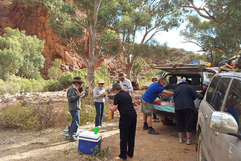 12-Day Outback 4WD Tour Of New South Wales Far West - Accommodation Bookings 6