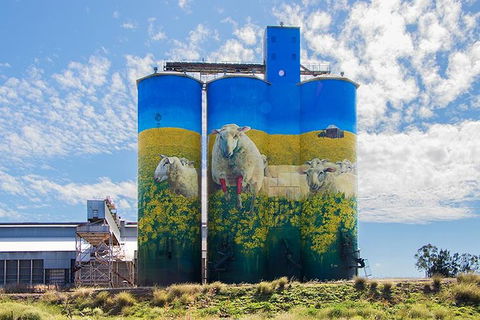 8-Day NSW Outback Tour Broken Hill Bourke Mungo Warrumbungles From Sydney - Accommodation Bookings 6