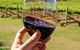 Wine Tasting In Canberra Region - thumb 0