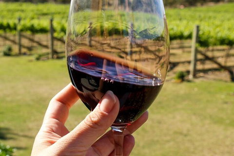Wine Tasting In Canberra Region - Accommodation Bookings 0
