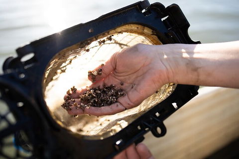 Oyster Farm Tour- Hawkesbury River (1hr North Of Sydney). - Accommodation Bookings 5