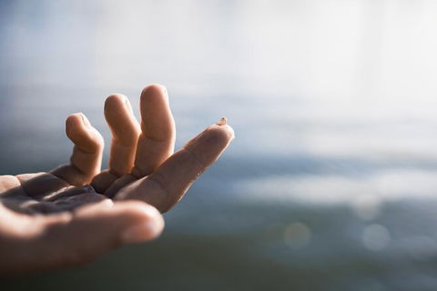 Oyster Farm Tour- Hawkesbury River (1hr North Of Sydney). - Accommodation Bookings 2