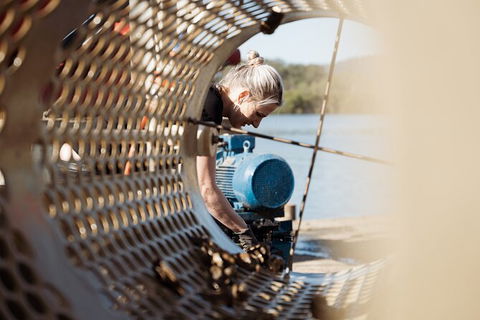 Oyster Farm Tour- Hawkesbury River (1hr North Of Sydney). - Accommodation Bookings 3
