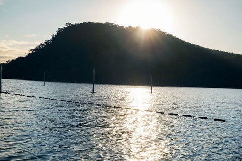 Oyster Farm Tour- Hawkesbury River (1hr North Of Sydney). - Accommodation Bookings 4