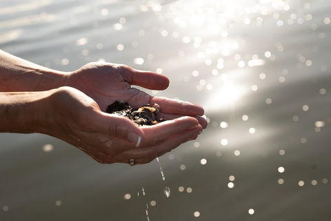 Sydney Oyster Farm Tour And Seafood Lunch On A Secluded Beach - Accommodation Bookings 3