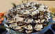 Sydney Oyster Farm Tour And Seafood Lunch On A Secluded Beach - thumb 5
