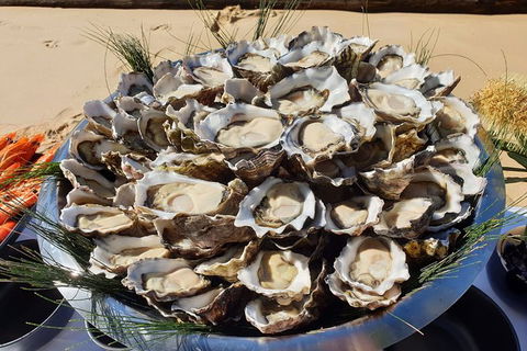 Sydney Oyster Farm Tour And Seafood Lunch On A Secluded Beach - Accommodation Bookings 5