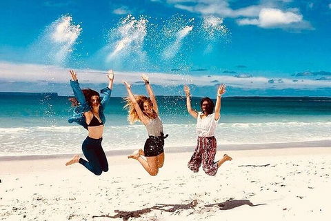 Jervis Bay One Day Tour - Accommodation Bookings 0