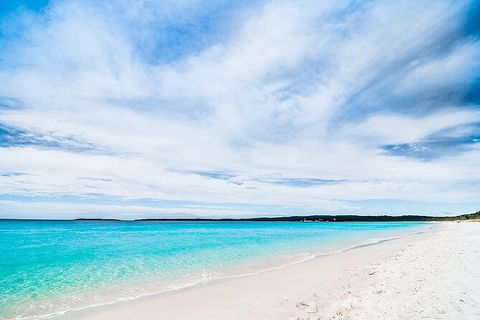 Jervis Bay One Day Tour - Accommodation Bookings 1