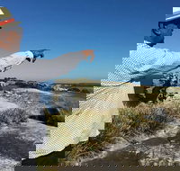 Private Walangari's Aboriginal Walking Tour in Bondi Beach - Accommodation Bookings