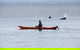 Half-Day Jervis Bay Sea Kayak Tour - thumb 4