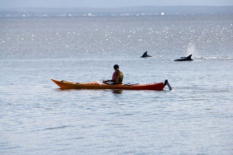 Half-Day Jervis Bay Sea Kayak Tour - Accommodation Bookings 4