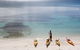 Half-Day Jervis Bay Sea Kayak Tour - thumb 2