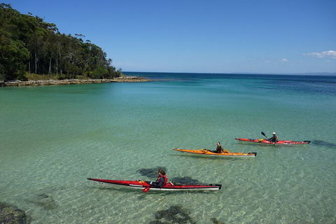 Half-Day Jervis Bay Sea Kayak Tour - Accommodation Bookings 3