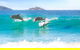 Tea Gardens And Hawks Nest Beach Bus Guided Tour - thumb 7