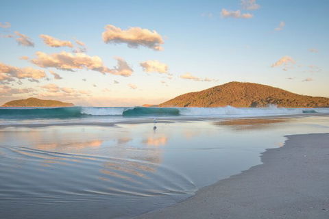 Tea Gardens And Hawks Nest Beach Bus Guided Tour - Accommodation Bookings 11