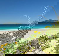 Tea Gardens and Hawks Nest Beach Bus Guided Tour - Accommodation Bookings