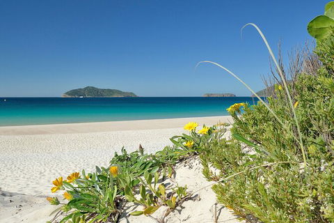 Tea Gardens And Hawks Nest Beach Bus Guided Tour - Accommodation Bookings 0