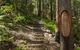 Tea Gardens And Hawks Nest Beach Bus Guided Tour - thumb 9