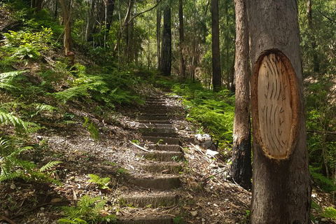 Tea Gardens And Hawks Nest Beach Bus Guided Tour - Accommodation Bookings 9