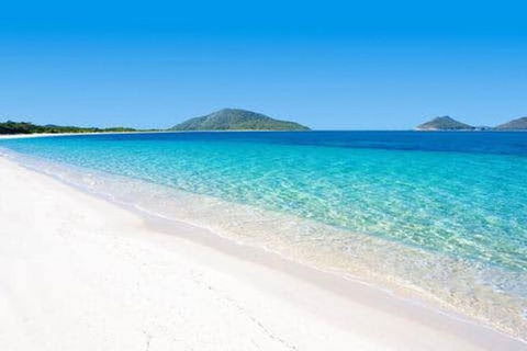 Tea Gardens And Hawks Nest Beach Bus Guided Tour - Accommodation Bookings 2