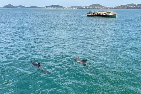 Tea Gardens And Hawks Nest Beach Bus Guided Tour - Accommodation Bookings 12