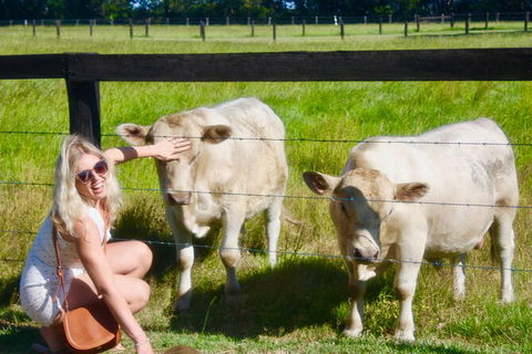 Hipster Sipster Brewery & Distillery Tour - Northern NSW - Accommodation Bookings 8