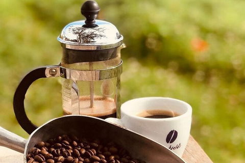Coffee Farm Tour And Workshop, Byron Bay Hinterland - Accommodation Bookings 0