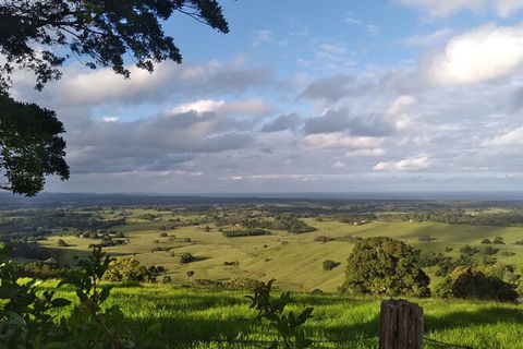 Coffee Farm Tour And Workshop, Byron Bay Hinterland - Accommodation Bookings 4