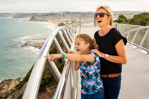 Newcastle Scenic Explorer - 2 Hour Tour By Minibus - Accommodation Bookings 0