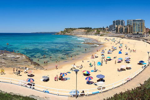 Newcastle Scenic Explorer - 2 Hour Tour By Minibus - Accommodation Bookings 16