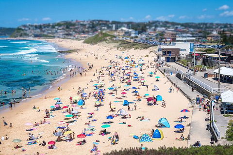 Newcastle Scenic Explorer - 2 Hour Tour By Minibus - Accommodation Bookings 6