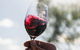 Wine Tasting In Yenda (up To 6 Wines) - thumb 0