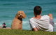 See Sydney With A Local: Private & Personalized - thumb 4