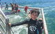 Port Stephens Private Bus Tour From Sydney, Option Of Dolphin Or Whale Cruises - thumb 2