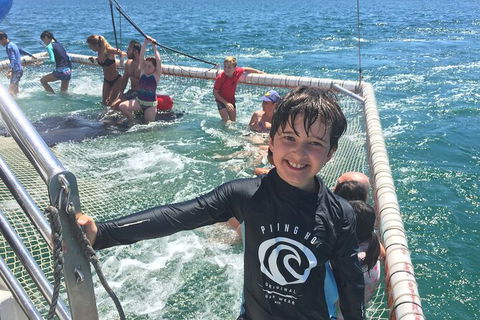 Port Stephens Private Bus Tour From Sydney, Option Of Dolphin Or Whale Cruises - Accommodation Bookings 2
