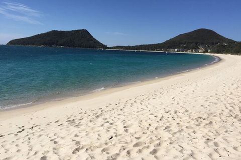 Port Stephens Private Bus Tour From Sydney, Option Of Dolphin Or Whale Cruises - Accommodation Bookings 1