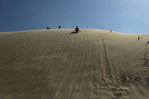 Port Stephens Private Bus Tour From Sydney, Option Of Dolphin Or Whale Cruises - Accommodation Bookings 6