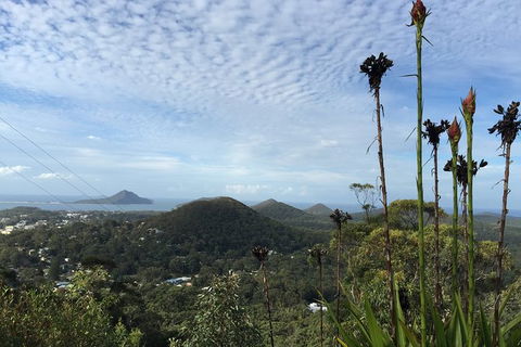 Port Stephens Private Bus Tour From Sydney, Option Of Dolphin Or Whale Cruises - Accommodation Bookings 4