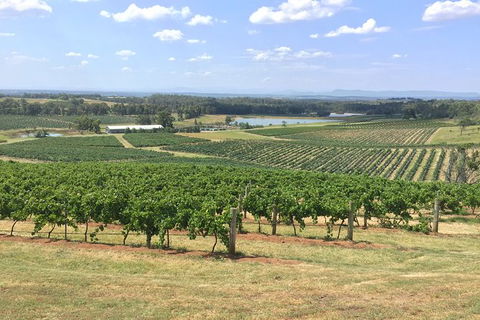 Hunter Valley Wine Tasting All Inclusive Private Bus Tour From Sydney - Accommodation Bookings 6