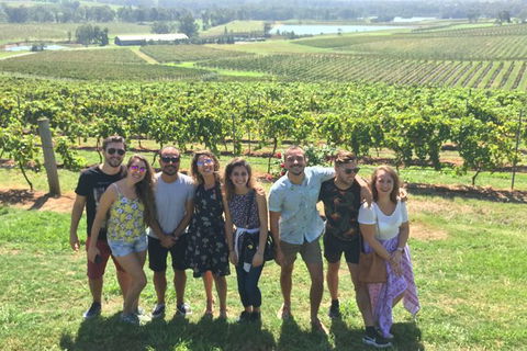 Hunter Valley Wine Tasting All Inclusive Private Bus Tour From Sydney - Accommodation Bookings 2