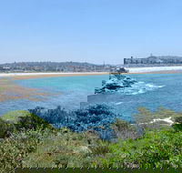 Sydney City Harbour and Bondi All Inclusive Private Bus Tour included Transfer - Accommodation Bookings