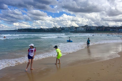 Sydney City, Harbour And Bondi All Inclusive Private Bus Tour, Included Transfer - Accommodation Bookings 6