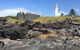 Southern Highlands & South Coast All Inclusive Private Tour From Sydney - thumb 5