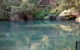 Jenolan Caves - Wildlife And Caves - thumb 1